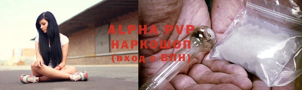стаф Баксан