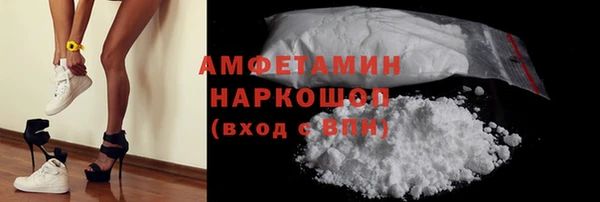 шишки Осташков