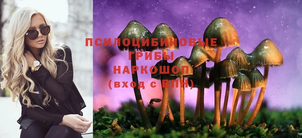 трава Новокубанск