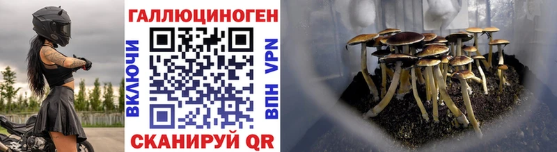 Псилоцибиновые грибы MAGIC MUSHROOMS  Красноуральск 